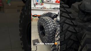 ProLine Maxxis Trepador 10 Run amp Review  The Best Yet [upl. by Mairim]