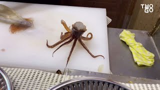 Japanese Street Food  Fresh Dancing Squid SASHIMI at Hakodate Morning Fish Market  Japan Seafood [upl. by Ledda595]