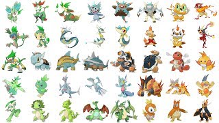 All Starter Pokemon amp Evolutions Type Swap  Pokemon Type Swap Fanart [upl. by Fermin556]