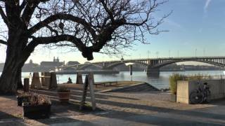 MainzKastel  Blick vom Kasteler Strand auf Rhein amp Brücke [upl. by Tia]