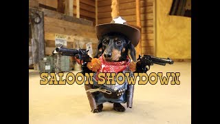 Crusoe the Cowboy Dachshund Saloon Showdown [upl. by Stanton]