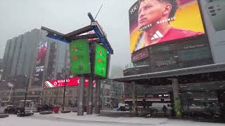 Winter Snow Storm in Toronto  Feb 15 2024 snow winter toronto [upl. by Punak]