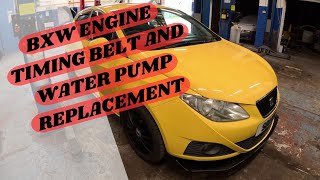 Seat Ibiza 1 4l 16V Timing Belt and water pump replacement [upl. by Eidnil]