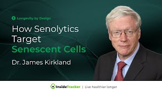 How do Senolytics Work to Target Senescent Cells  Dr James Kirkland [upl. by Nohtanoj]