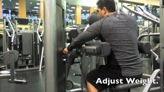 How To Use The Lateral Raise Machine  Exercise Video [upl. by Edobalo32]