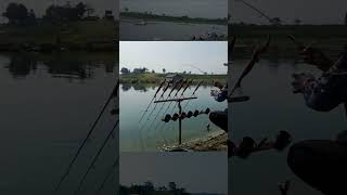 mancing fishing ikan angler blesengmania viralvideo [upl. by Nidak427]