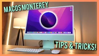 MacOS Monterey Tips amp Tricks amp Hidden features [upl. by Ainival]