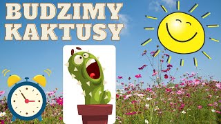 Wybudzanie kaktusów czas zacząć 🌵🌵🌵👍 [upl. by Claman]