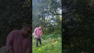 Swing your weedeaters in the tall stuff lawncare [upl. by Fredenburg]