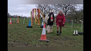 International Horse Agility Club  WO Silver Liberty Trophy Competition  December 23 [upl. by Ramah]