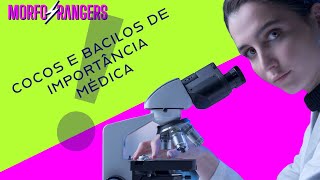 Cocos e Bacilos de importância médica parte 1 [upl. by Flam]