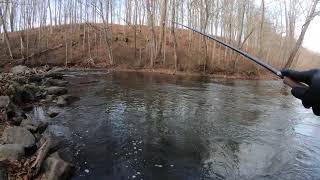 Rainbow Trout on the Musky  Tightlining near the edge [upl. by Bailey]