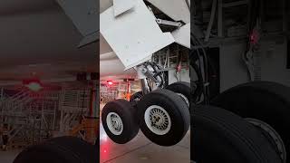 B787800 Landing Gear RetExt Test [upl. by Eenwahs]