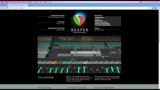 Changing Your Theme in REAPER [upl. by Awra]