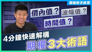 【期權新手教學 EP 2】 4分鐘快速解構期權3大術語：時間值、價內值、波幅值｜絕密揭秘一日速賺40萬利潤的期權策略｜獨立股評人 JK爸爸陳立展｜期權 投資 投資教學 [upl. by Campagna]