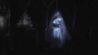 HAUNTED MANSION RIDE AT WALT DISNEY WORLD [upl. by Shreve62]