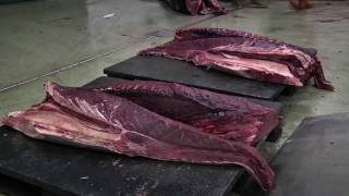 the preparation of the salted fish in Englishmp4 [upl. by Ecinaj614]