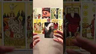 🌍 Kompromissbereitschaft tarot liebe beziehung [upl. by Oloapnaig251]