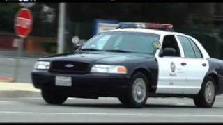 quotOctoLambosquot pulled over by LAPD near Malibu off Mulholland [upl. by Amsirac207]