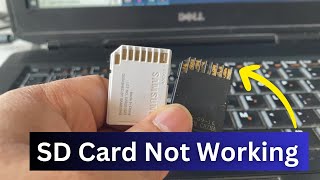 SD Card Not Showing Up or Not Working in Windows 1011 [upl. by Eitsirhc]