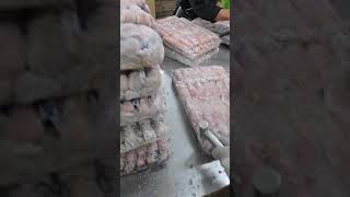 CUMI LOLIGOCUMI TEROPONG reels shorts fish LOLIGO seafood eksportir viralvideo [upl. by Etnaled134]