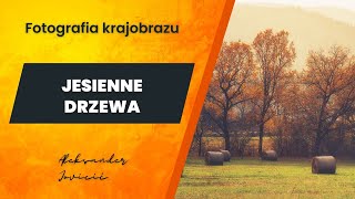 Jesienne DRZEWA  fotografia krajobrazu jesienią w Kotlinie Kłodzkiej Jak fotografować krajobraz [upl. by Okimuk]