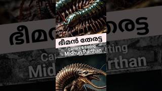 Arthropleura malayalamshorts shortvideo [upl. by Jauch]