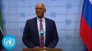 Head of MINUSMA on the situation in Mali  Security Council Media Stakeout  United Nations [upl. by Kristos]