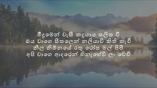 Meedumen Wasi   Bathiya N Santhush  Lyrics Video [upl. by Hermine37]