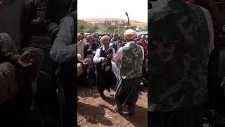 Gasba et danse Sedjrara shorts قصبة ورقص Chantsetdansestraditionnels [upl. by Dorolice372]