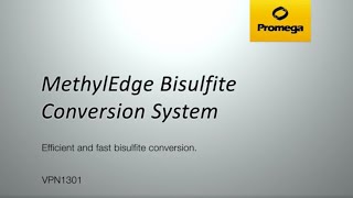 MethylEdge Bisulfite Conversion System Video [upl. by Bobbye]