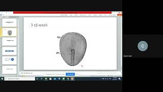 Embryology  embryogenesis of cardiovascular system lec 13  DRMAZIN [upl. by Anniken]