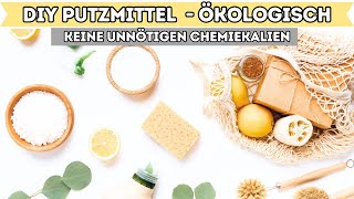 DIY  Putzmittel selbst herstellen OHNE CHEMIE amp unmengen an Geld sparen I Alenas Momlife [upl. by Joceline700]