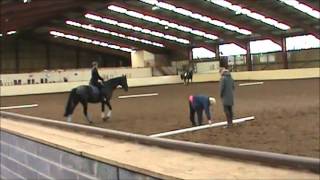 Talland School of Equitation Day 2 [upl. by Fry]