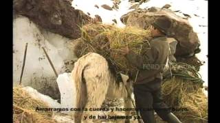 PARAMOS AguaVida y Gente Ecuador [upl. by Ydderf785]