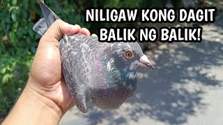 NILAGAW KONG DAGIT BALIK NG BALIK [upl. by Abocaj]