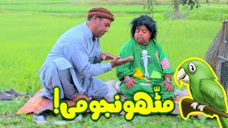 Mithu Janay Dil Ka Haal  Choti Sarkar Najoomi Pothwari Drama  Shahzada Ghaffar  Khaas Potohar [upl. by Nyleaj448]