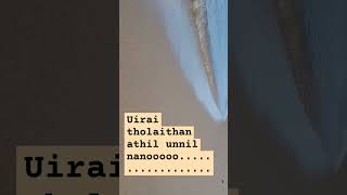 Na muthukumar lyrics uirai tholaithan athil unnil na nooootamil songs [upl. by Winstonn]