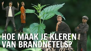 Hoe maak je kleren van brandnetels  De Buitendienst over Brandnetels [upl. by Enyala]