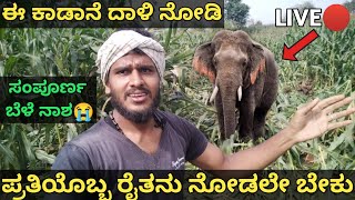 Wild Elephant Attack Video In Karnataka Village🐘Tree House Camping in Whole Night🌳 [upl. by Lellih]