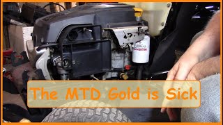 The MTD Gold is Sick [upl. by Husein299]