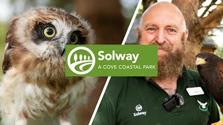 Birds of Prey Experience at Solway Holiday Park [upl. by Yerbua]