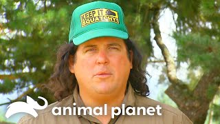 Investigating Washington and Oregon Bigfoot Sightings  Finding Bigfoot  Animal Planet [upl. by Godderd]