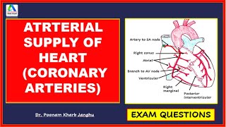 Arterial supply of heart  Coronary arteries  Blood supply of heart Simplest [upl. by Nivloc944]