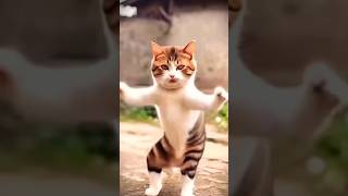 be korbo be korbo moner khusite youtube viralvideo cat funny short song [upl. by Nyrhtac136]