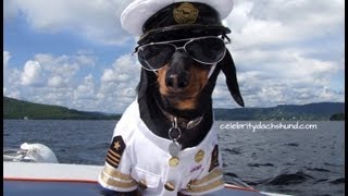 DACHSHUNDS ON A BOAT  quotBabeWatchin with Captain Crusoe amp First Mate Oakleyquot [upl. by Sillert147]