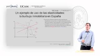 Microeconomía I  La elasticidad de la oferta y la demanda 8  Alfonso Rosa [upl. by Aes]