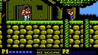 Double Dragon 2  Nes  Full Playthrough  Supreme Master ♛  No Death [upl. by Aiak903]