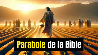 Les 15 Paraboles les Plus Fascinantes de la Bible  Paraboles du Christ [upl. by Grace554]