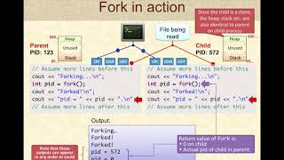 Fork and Exec in Linux [upl. by Wilbur]